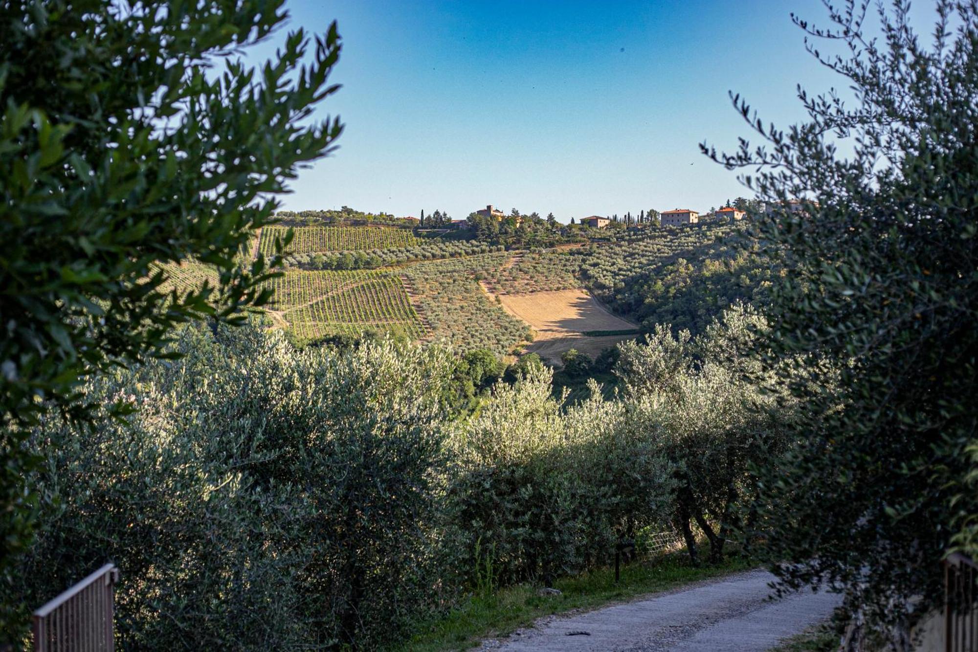Vakantieboerderij Borgo Casa Al Vento *